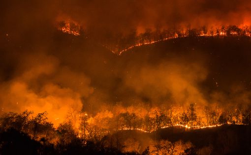 День пожаров в Португалии: десятки людей сгорели заживо