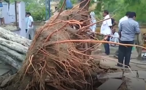 В Индии 30 человек погибли в результате шторма