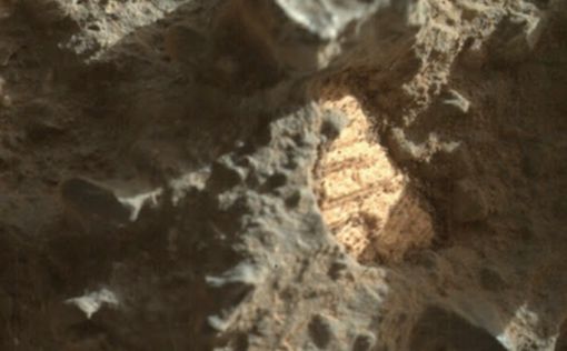 На Марсе нашли древние морские раковины