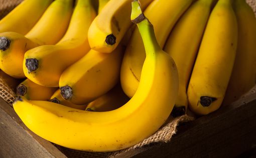 Полиция изъяла 17 кг кокаина спрятанного в резиновых бананах
