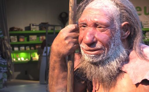 Археологи обнаружили гибрид неандертальца и "денисовца"