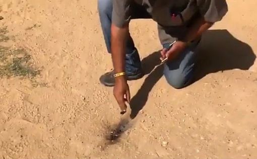 "Огненный шар" из Газы упал во двор детского сада