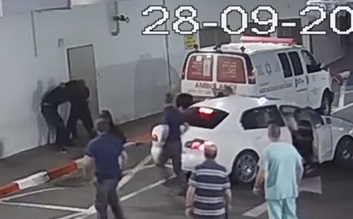 Видео: избиение охранников в приемном покое больницы Ихилов