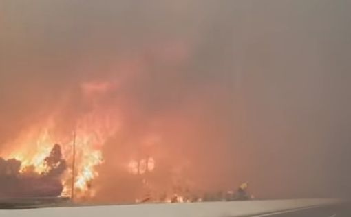 Пожары в Греции унесли жизни 96 человек