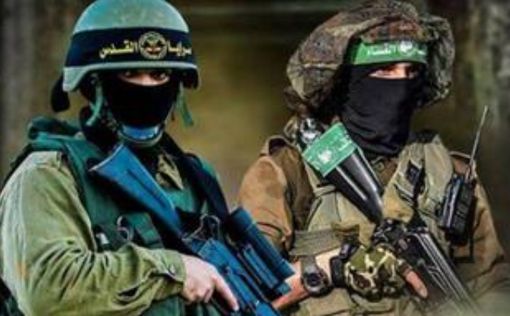ХАМАС расхвалил убийц израильской девочки