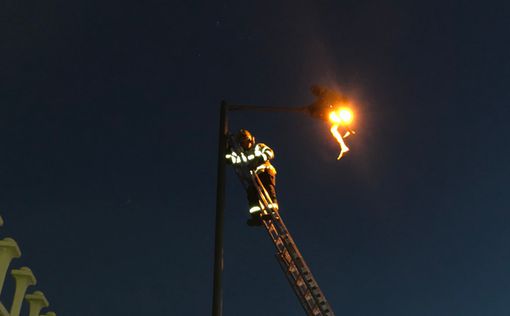 В Британии наркоман час просидел на 10-метровом фонаре
