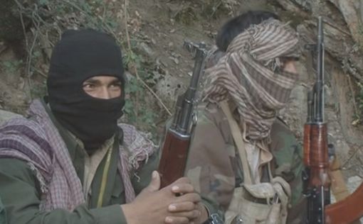 Десятки талибов погибли при обсуждении терактов