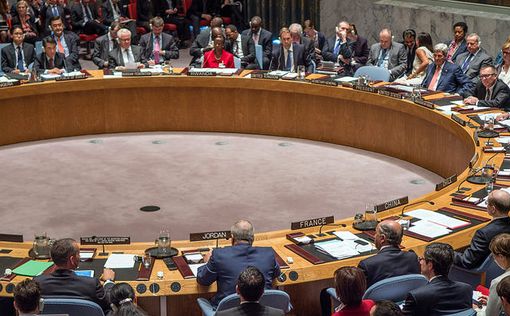 СБ ООН принял подготовленную РФ и Турцией резолюцию по Сирии