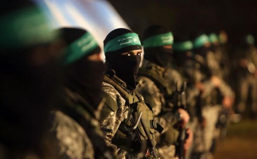 В ходе рейда спецназа в ноябре убиты 16-20 боевиков ХАМАСа