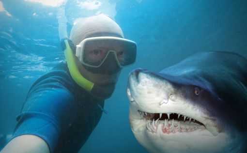 В 2015 году от селфи погибло больше людей, чем от акул