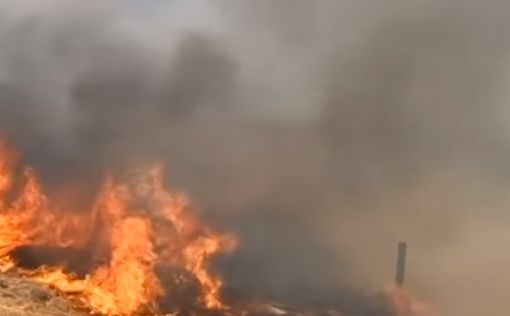 На территории Израиля произошло пять пожаров