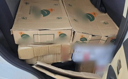 На военной базе около Хайфы повар пытался вывезти 450 кг мяса и рыбы
