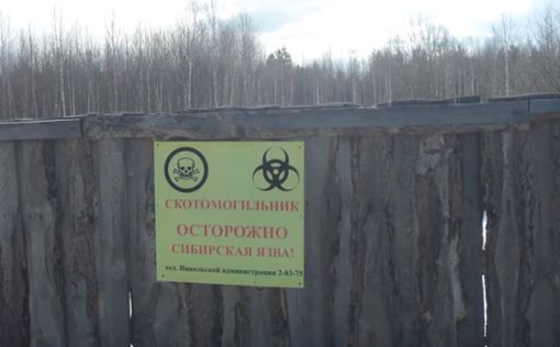 В РФ найдены бесхозные скотомогильники с сибирской язвой