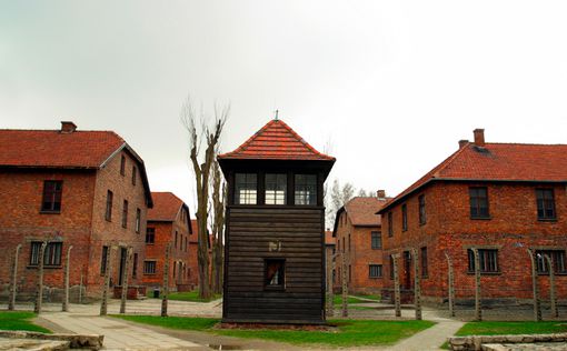 "Освенцим - главное архитектурное достижение Баухауза"