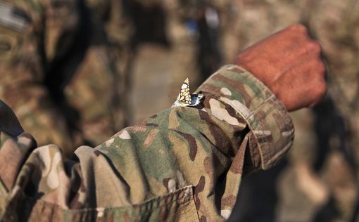 Американский контингент в Афганистане сократят в два раза