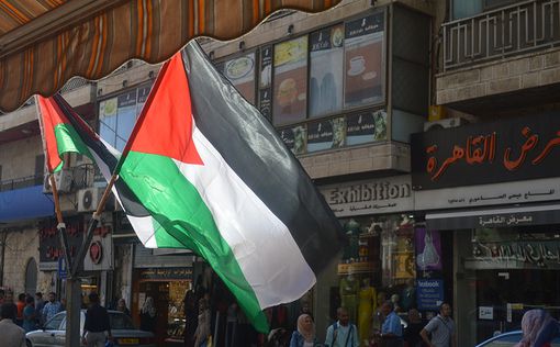 Над мэрией Дублина поднимут палестинский флаг