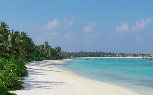 Молодожены застряли на мальдивском курорте из-за пандемии