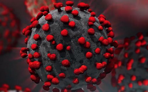 Новая мутация делает коронавирус в разы заразнее
