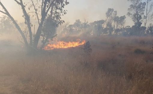 В израильском лесу вспыхнул пожар из-за воздушного шара