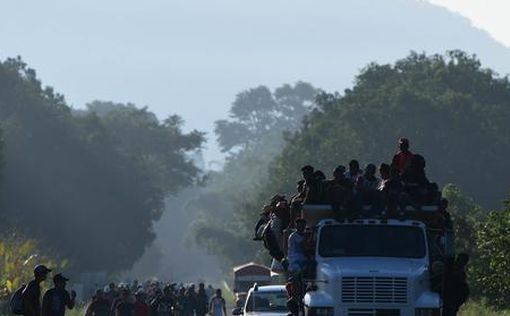Мексика: грузовик с мигрантами свалился в обрыв, есть жертвы