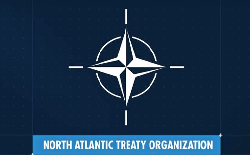 Трамп против НАТО