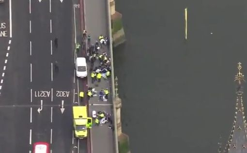 Атака в Лондоне: из Темзы достали выжившую женщину