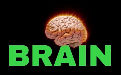 Израильские ученые: мозг защищает нас от мыслей про смерть