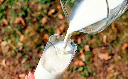 Может ли молоко снизить риск развития рака?