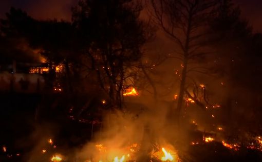 Количество погибших от пожаров в Греции увеличилось до 60