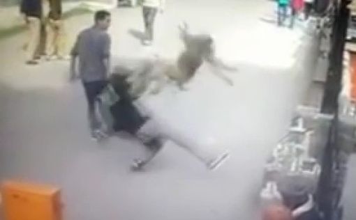 За неприличный жест обезьяна напала на подростка