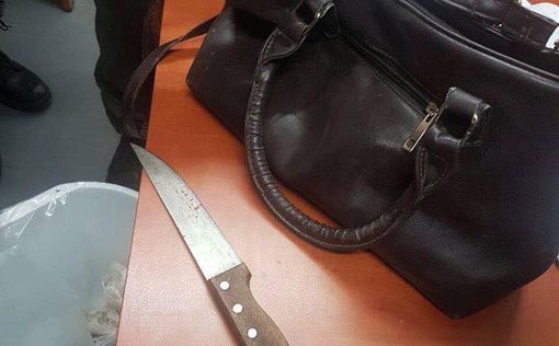 Каландия: террористка задала вопрос - и выхватила нож
