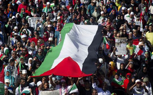 В Кейптауне 10 тысяч человек поддержали Газу