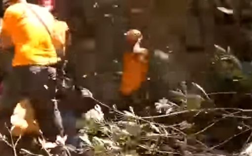 Видео: подросток упал с 10-метровой высоты на Голанах