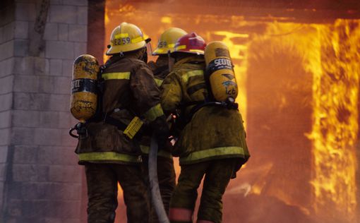 В Греции объяснили, почему пожарники не спасли сгоревших