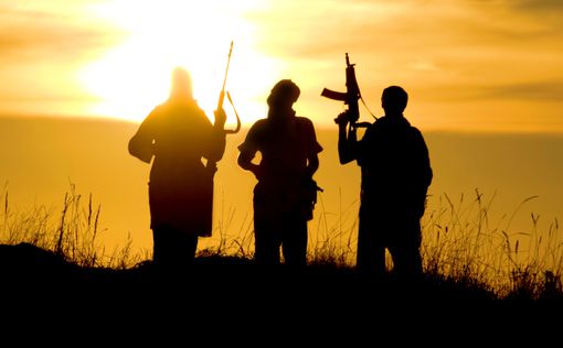 Курдские боевики убили трех турецких патрульных