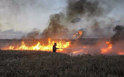 Террор воздушных змеев: 20 пожаров вокруг Газы