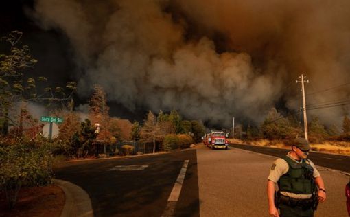 Из-за лесных пожаров в Малибу проводят массовую эвакуацию