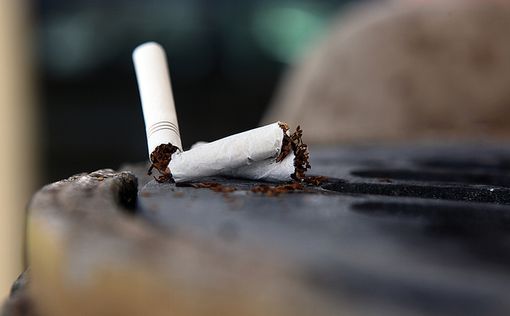 Japan Tobacco против единой упаковки сигарет