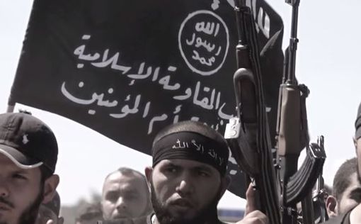 В Японии подтвердили подлинность видео ISIS
