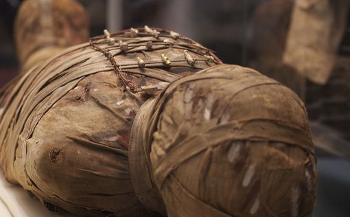 В Египте раскопали гробницу с 17 мумиями