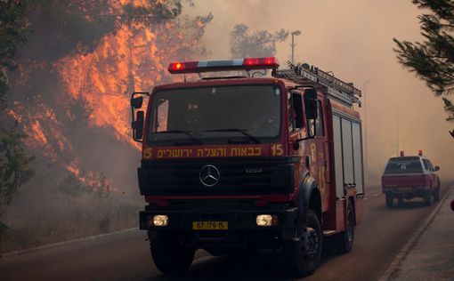 Мощный пожар в Иерусалиме взяли под контроль