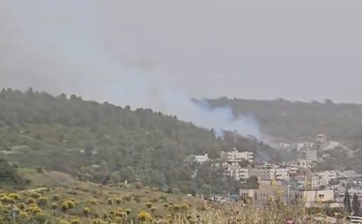 Пожарные борются с огнем на открытой местности возле Иерусалима
