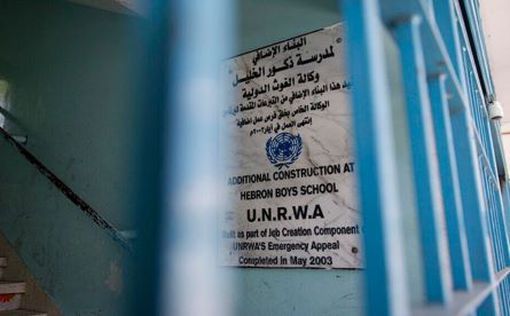 Австрия возобновит финансирование UNRWA