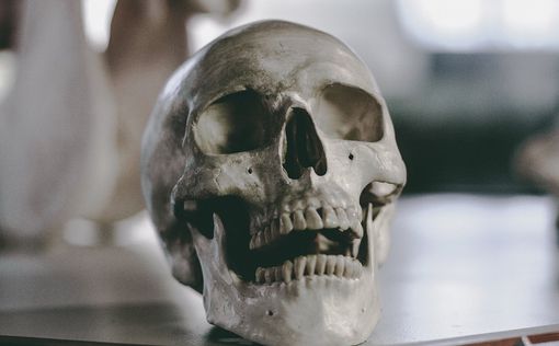Мексика: человеческие черепа обнаружены в посылке, направлявшейся в США