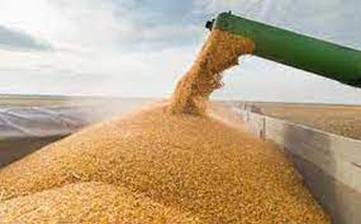 РФ вывозит украинское зерно в Сирию и Иран