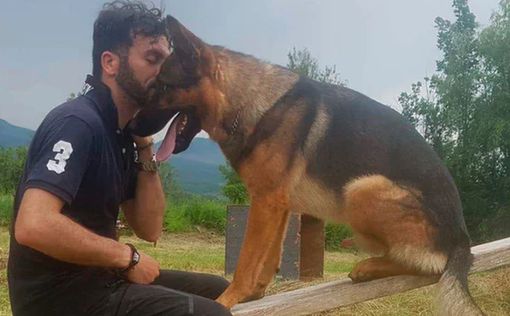 В Италии убили знаменитого пса-спасателя