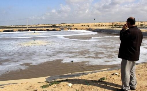 Кризис канализации в Газе угрожает холерой Израилю