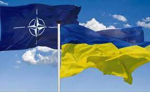 В Финляндии не исключили отправку войск НАТО в Украину