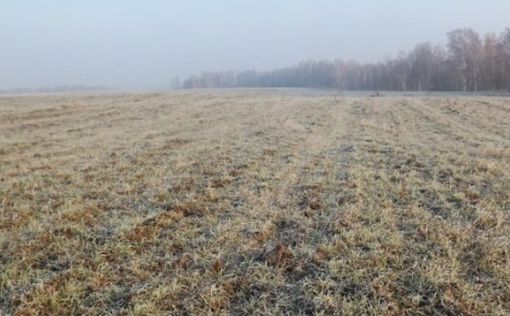 Помощь инвесторам в покупке российских фермерских земель
