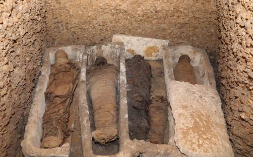 В Египте найдено захоронение эпохи эллинизма с 50 мумиями